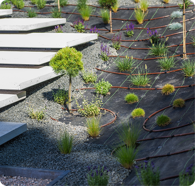 Drip Irrigation Installation and Repair in West Palm Beach