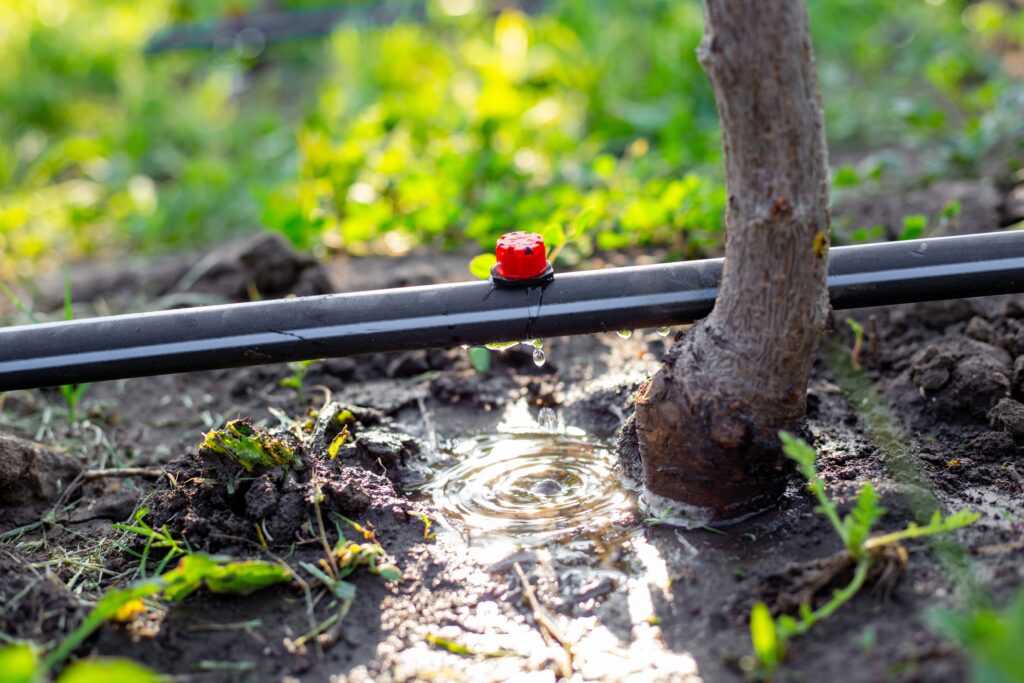 Drip irrigation installation service in Palm City, FL