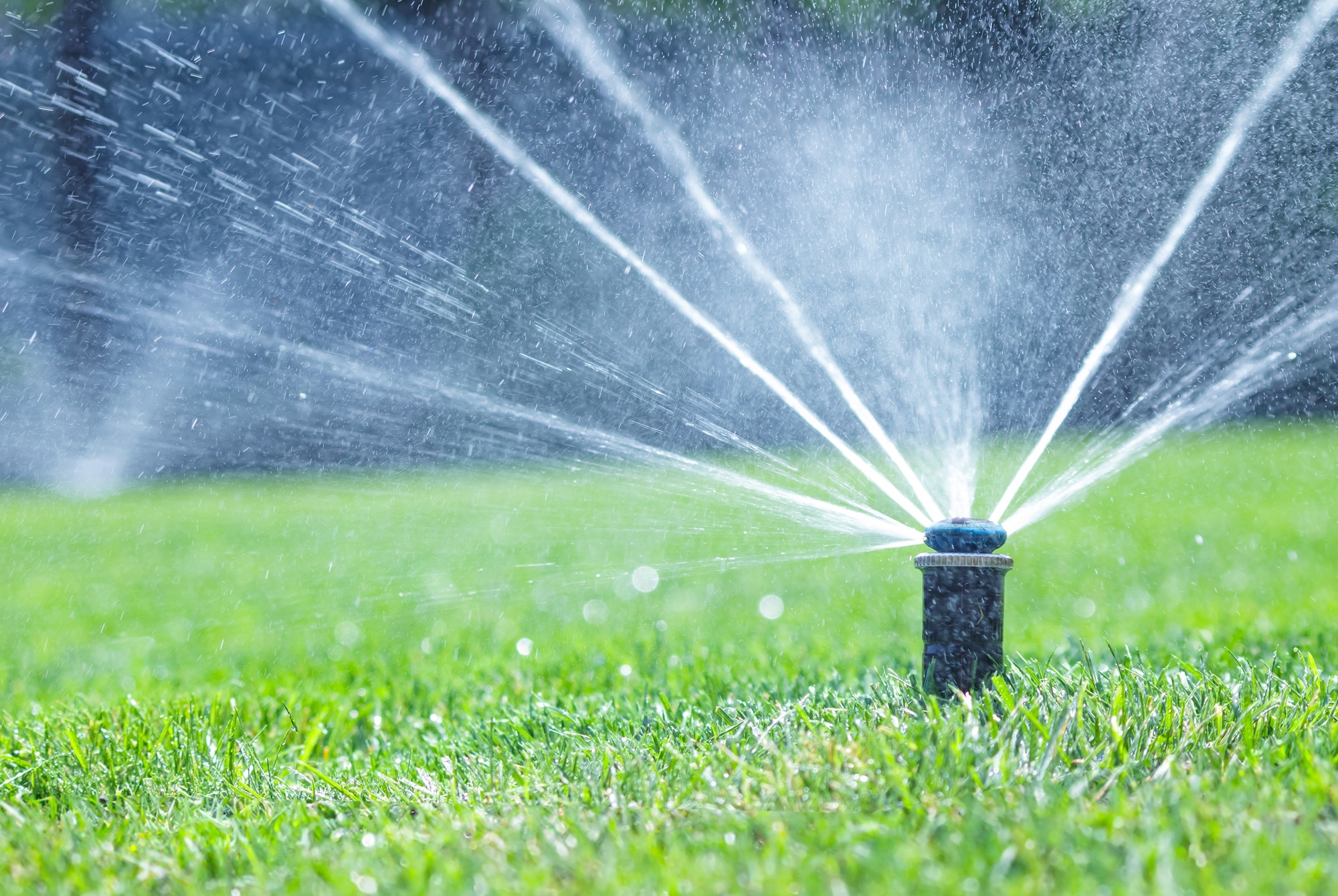 Smart Irrigation System Upgrades in Martin County, FL: Modern Water Efficiency Solutions