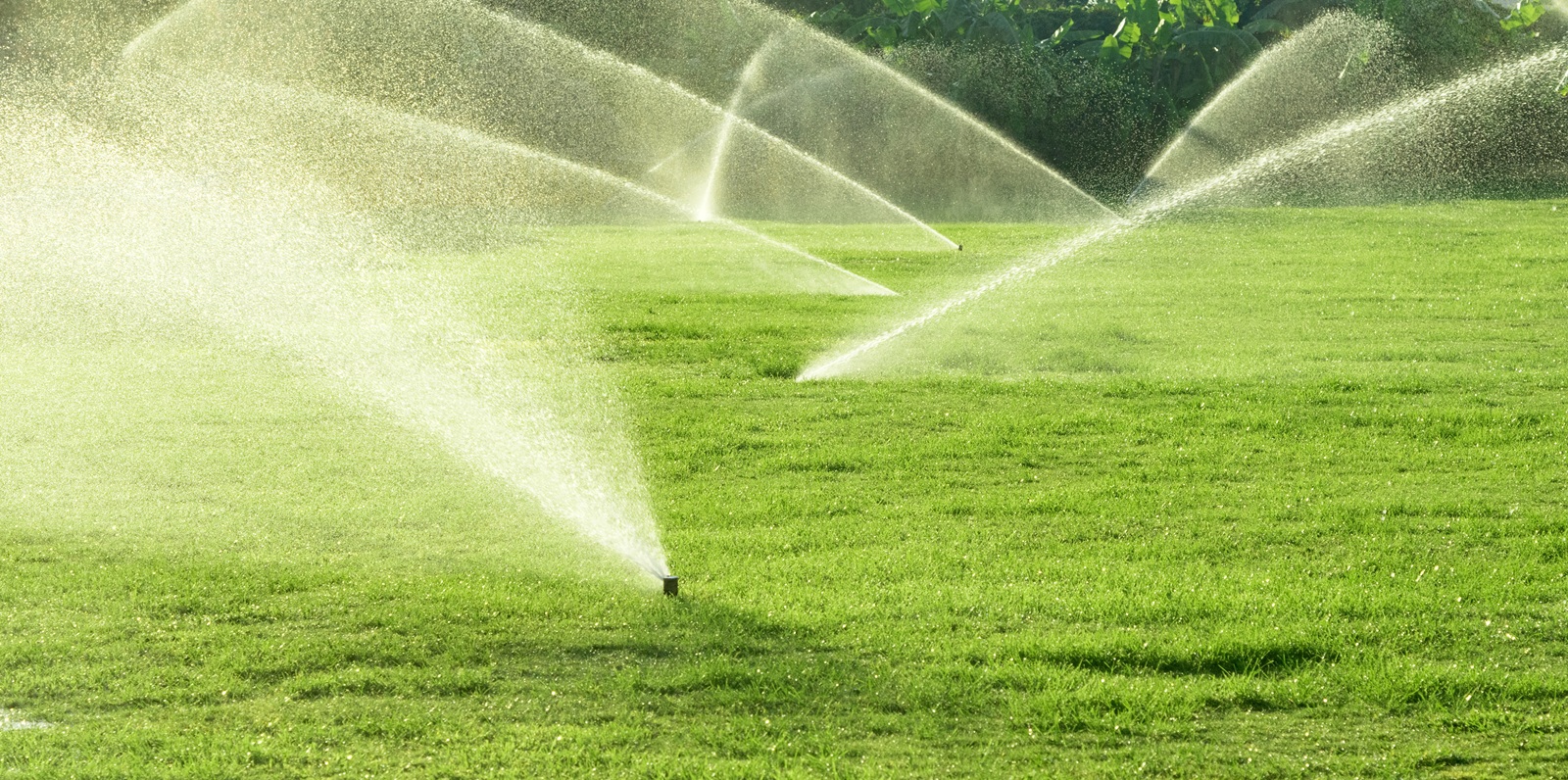Why One Sprinkler Zone Stopped Working: The 6 Most Common Causes in South Florida
